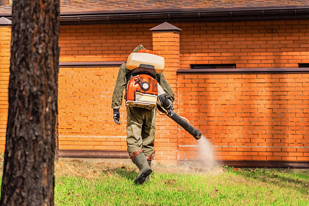 Bed Bug Clearance Verification and Documentation in Comer